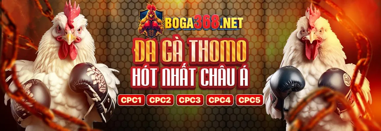 Sân vận động bóng đá với màn hình hiển thị tỷ lệ kèo Keo2